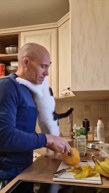 Порой не нужно ничего, кроме обнимашек с котом смотреть онлайн