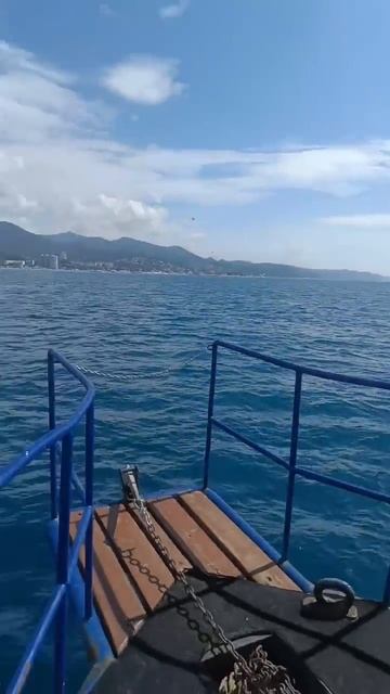 Лазаревское: рыбалка 🐟#рекомендации #яхта #сочи смотреть онлайн