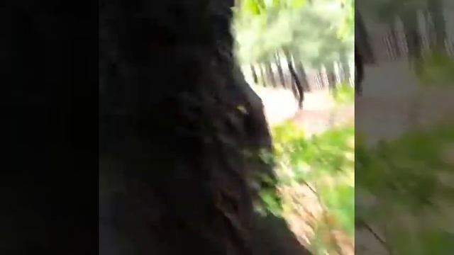 Видишь суслика ? Нет И я Нет а он есть смотреть онлайн