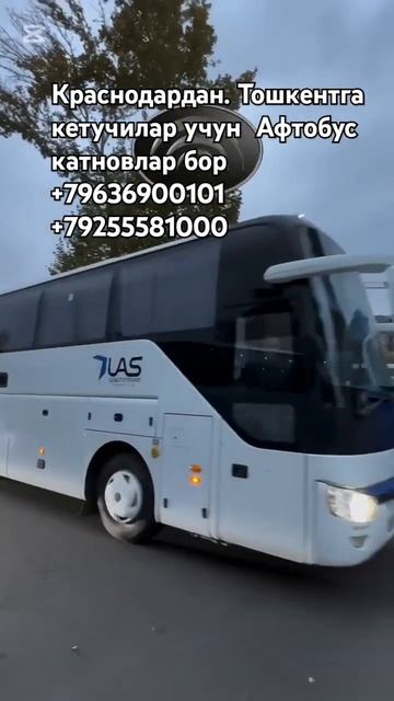Краснодар край #Тошкент #автобус# ростов-на-дону Тошке? смотреть онлайн