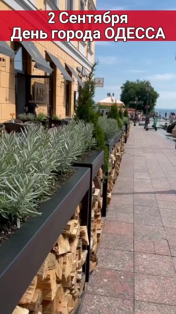 ❤С ДНЕМ РОЖДЕНИЯ, ОДЕССА - 2 сентября 2024 / Праздник: Ден?
