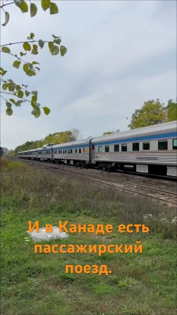 И в Канаде есть пассажирский поезд. смотреть онлайн