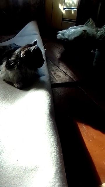 Помогает маме мыть холодильник 🤭 смотреть онлайн