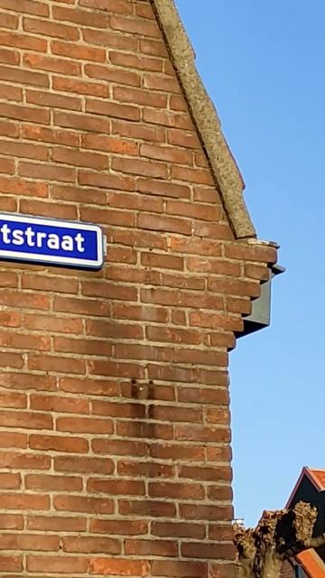 Как в Голландии(Нидерландах) часто называют улицы? #кр? смотреть онлайн