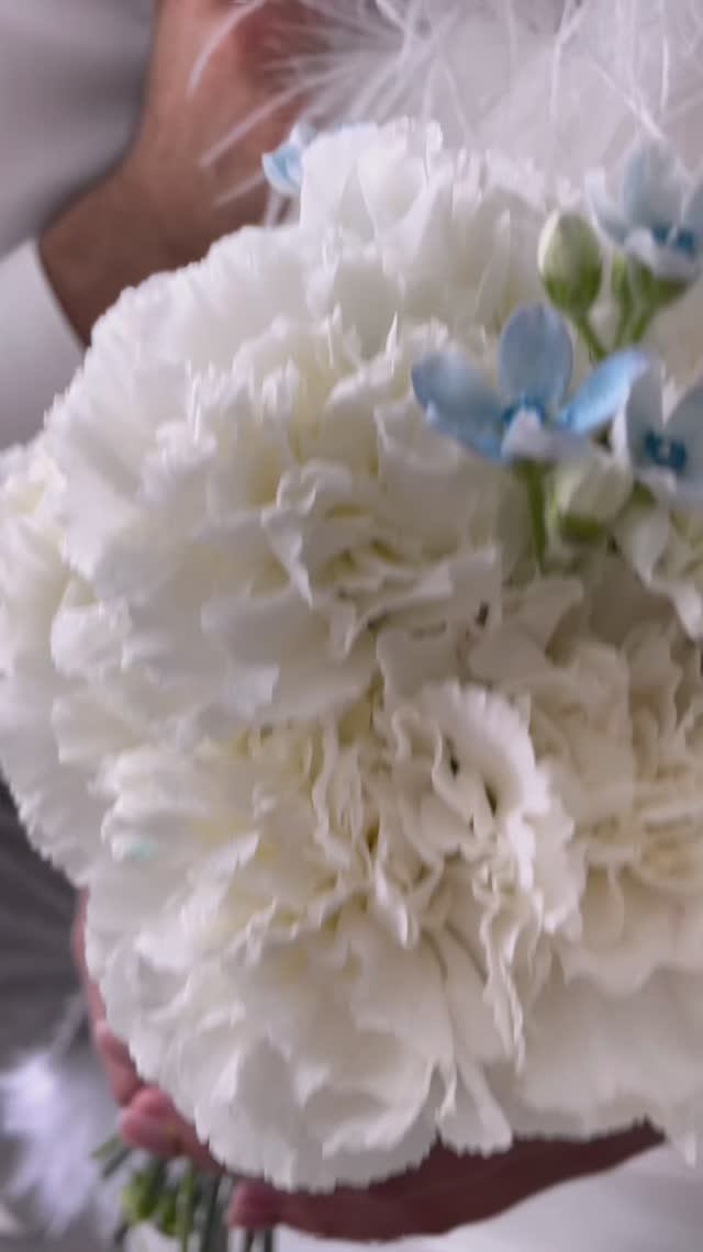 Пётр Летуновский смотреть онлайн