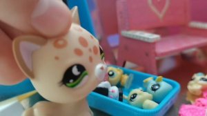 Пов : типичная комната lps блогера ! 💫#love is lps#