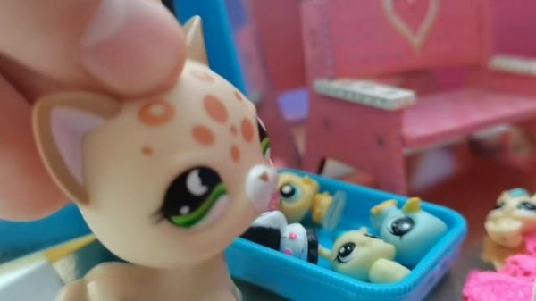 Пов : типичная комната lps блогера ! 💫#love is lps#