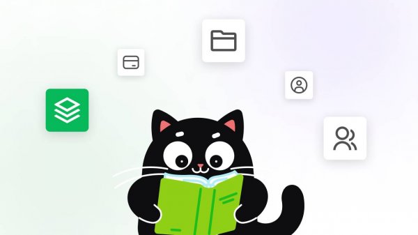 Qform: Знакомство с возможностями!