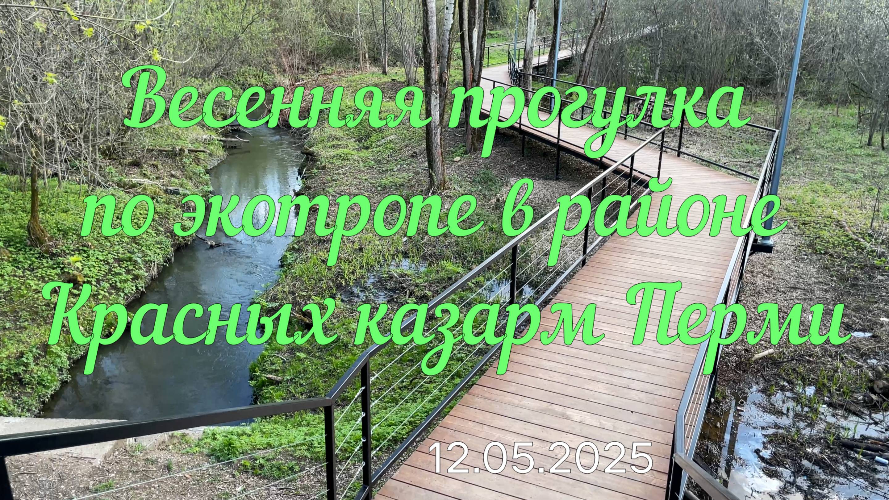 Весенняя прогулка по экотропе в районе Красных казарм Перми 14.05.2025