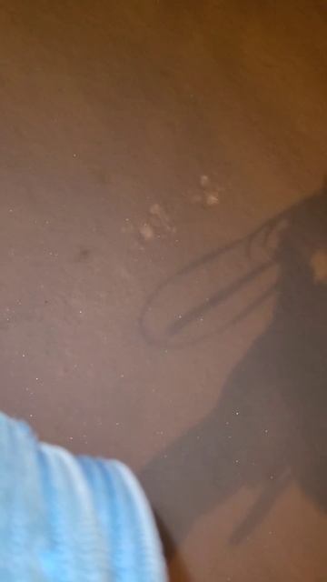 🙈Уберите подснежники! Не так сложно даже в минус 10°с! смотреть онлайн