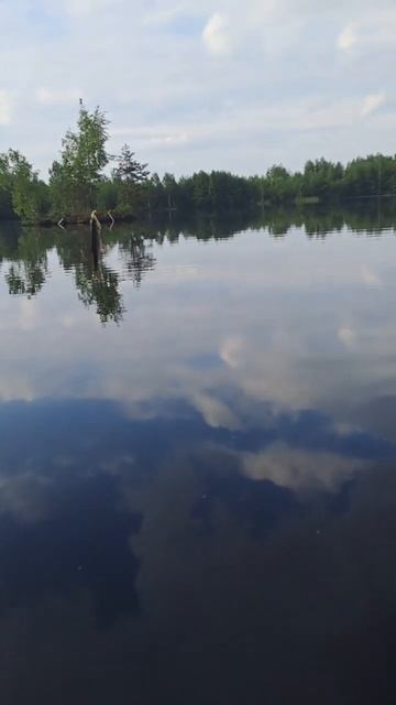 Утренняя РЫБАЛКА!ПЛОТВА СОШЛА С УМА, ЛОВИТСЯ ОДНА ЗА О? смотреть онлайн