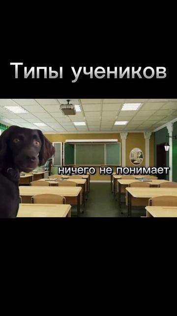 А какие ещё есть типы? #рекомендации #котики #мемныекот смотреть онлайн