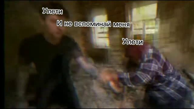 Улети и не вспоминай меня.... Смотри до конца!! ПОДПЕШИСЬ И НЕ ПРОПУСТИ НОВОГО😱❤️