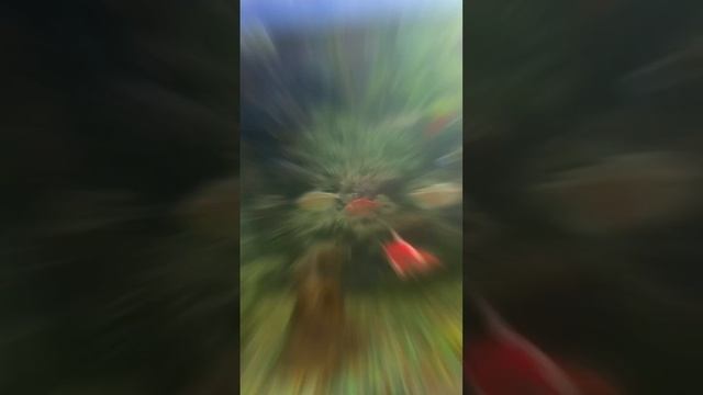 Мой уголок#астрахань#новости#любовь#юмор#цитаты#прико смотреть онлайн