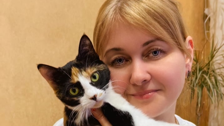 Готовлю ужин смотреть онлайн