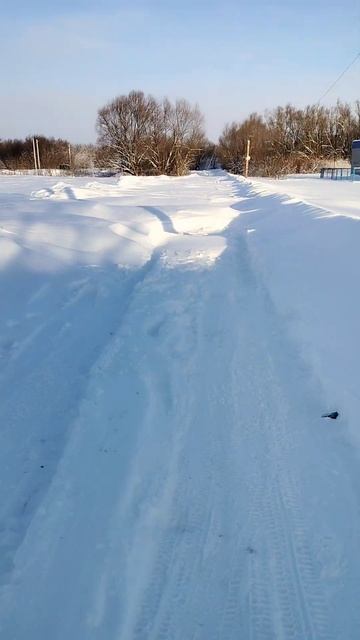 замело в липецкой области #липецк #снег #метель #погод? смотреть онлайн
