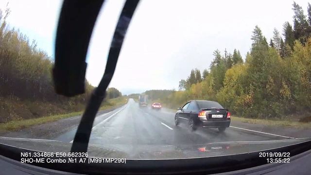 Лоси недалеко от Пажги