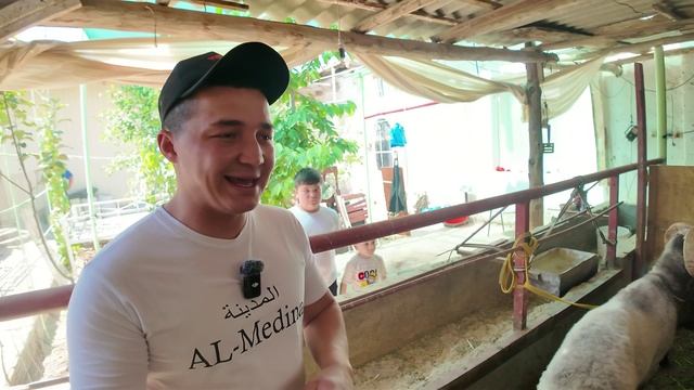 ҚЎЙ ҚЎЧҚОР СЎЙИШ ХИЗМАТЛАРИ ҚАНДАЙ смотреть онлайн