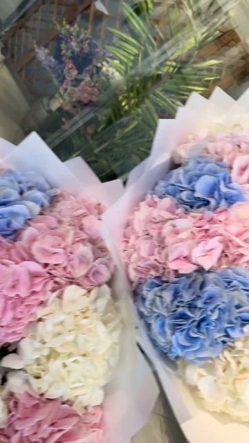 Голландский гортензия 😍 для заказа напишите в на WhatsAp смотреть онлайн