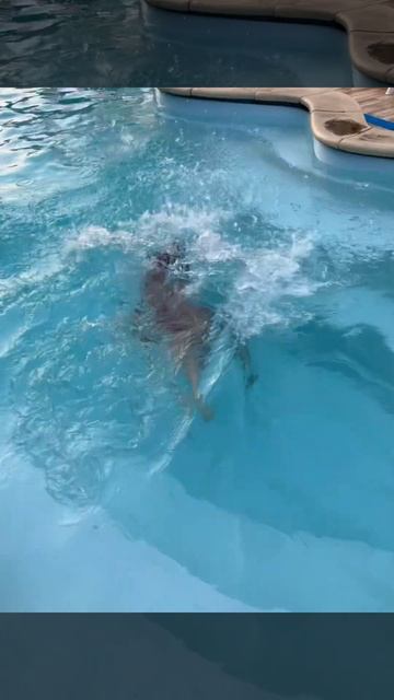 Сочи#2024 #адлер #отдых смотреть онлайн