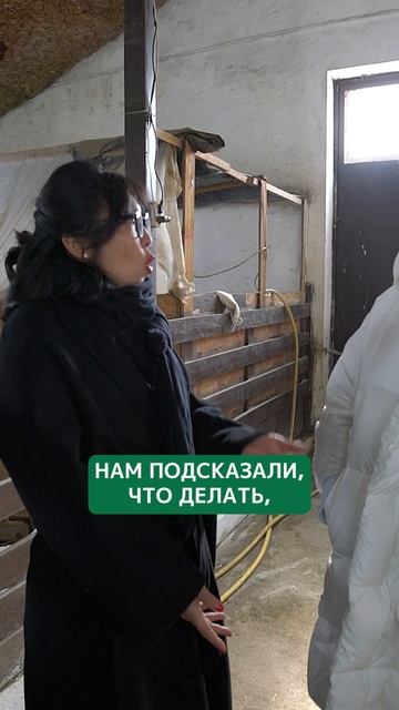 Тяжело быть фермером в Казахстане? #викторияновичкова смотреть онлайн