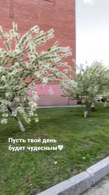 Пусть твой день будет чудесным🤍 #берегиня #силаберег? смотреть онлайн