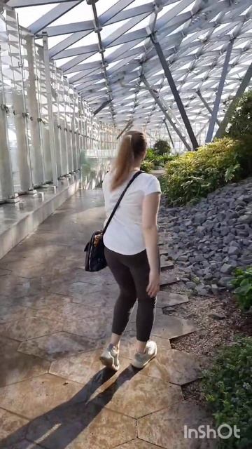 Всем удачного понедельника ✨ берегите свое шило в ж¢π смотреть онлайн