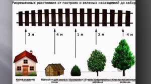 Разрешенные расстояния от строений и посадок до забор