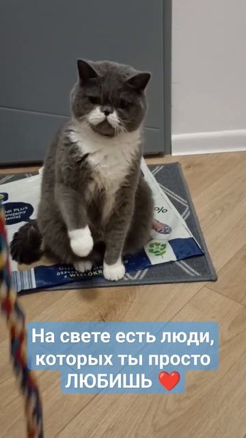 На свете есть люди, которых ты просто ЛЮБИШЬ, просто та смотреть онлайн