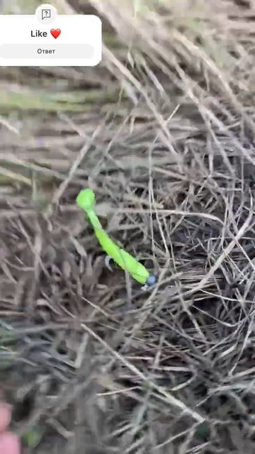 Щука на спиннинг просто супер #рыбалка #щука #спиннинг смотреть онлайн