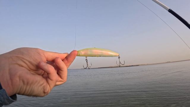 Я в ШОКЕ!!!Хамур укусил за Палец!  Рыбалка с Берега в ОАЭ