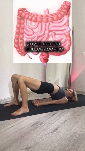 Как повысить чувствительность таза#йога#здоровье#спо? смотреть онлайн