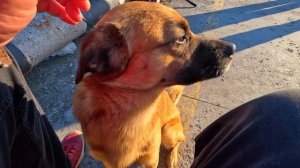 ▶️ Море сегодня. Набережная .Ялта 14.04.2025