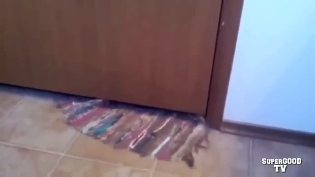 Хотите увидеть УГАРНЫЕ ПРИКОЛЫ?? Смотри их тут : ))) смотреть онлайн