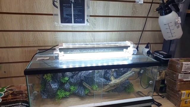 Классный зоомагазин Аквариум) Что в нем есть ! смотреть онлайн