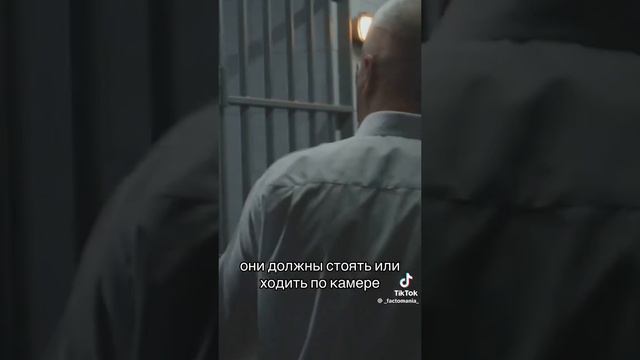 Тюрьма Черный Дельфин смотреть онлайн