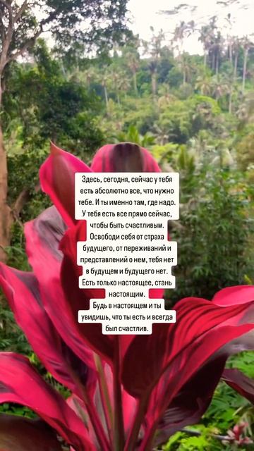 Ты всегда есть и был счастлив, ты просто забыл застряв смотреть онлайн