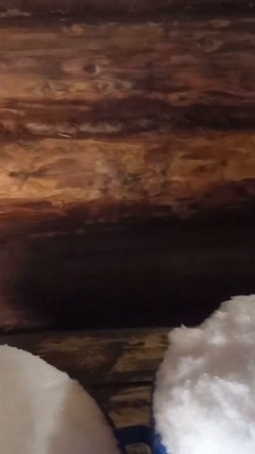 Поездка на Павловское водохранилище.Январь 2023. Готови