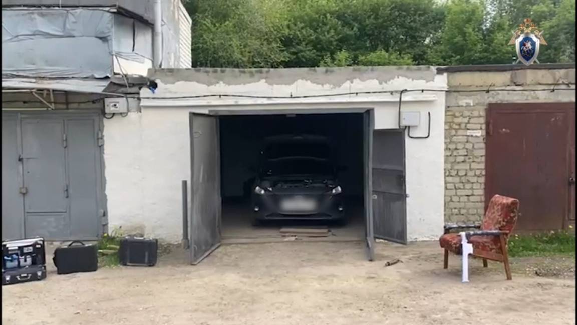 СК: детей в саратовском гараже могла убить их мать смотреть онлайн