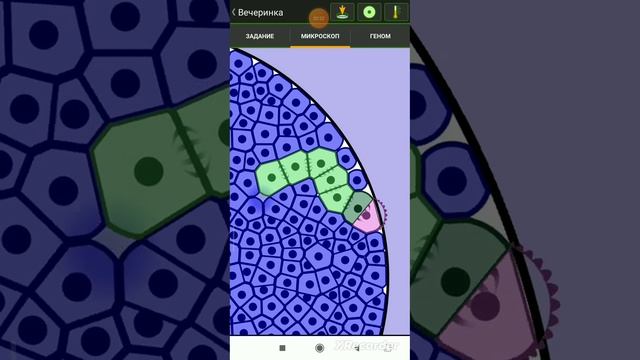 как пройти вечеринка в cell lab tutoryal смотреть онлайн