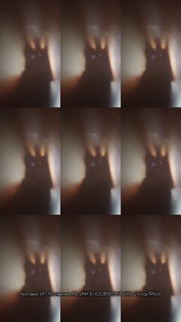 Быть рядом просто... Вместе с "Незабудкой" арт 1787786086 Ozon. смотреть онлайн