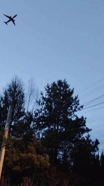 30 марта 2025 г. смотреть онлайн