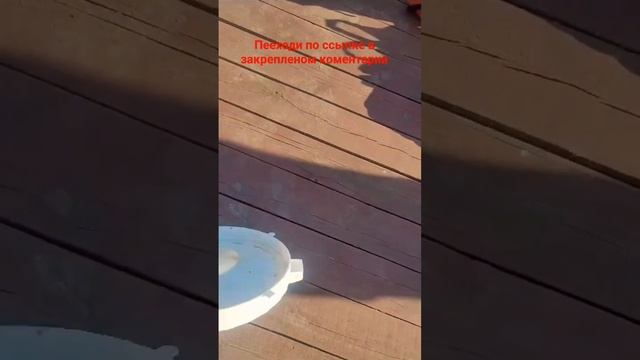 ГОВОРЯТ ЧТО РЫБЫ НИ ХУ* НЕТ РЫБАЛКА В АСТРАХАНИ #astrakhan #f