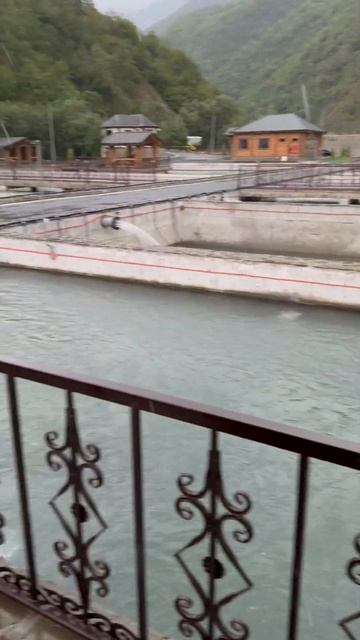 Рыбное хозяйство. Чечня. Итум-Кали./Роман Чехов. смотреть онлайн