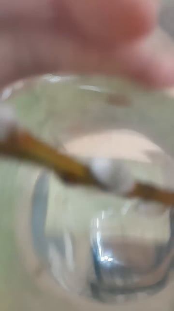 #морская свинка Евп смотреть онлайн