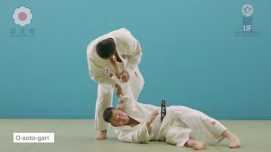 О сото гари