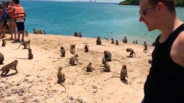 Царь обезьян) смотреть онлайн