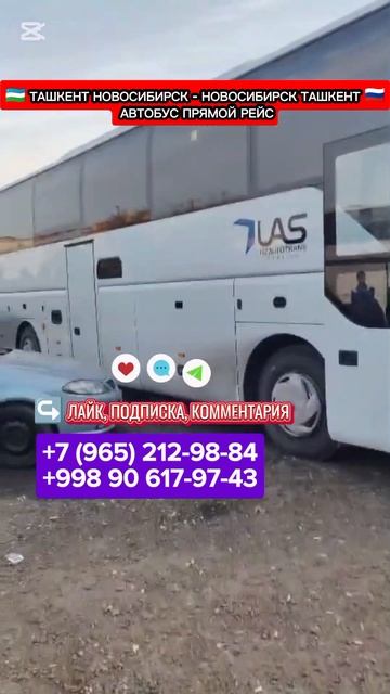 ТАШКЕНТ НОВОСИБИРСК - НОВОСИБИРСК АВТОБУС ПРЯМОЙ РЕЙС смотреть онлайн