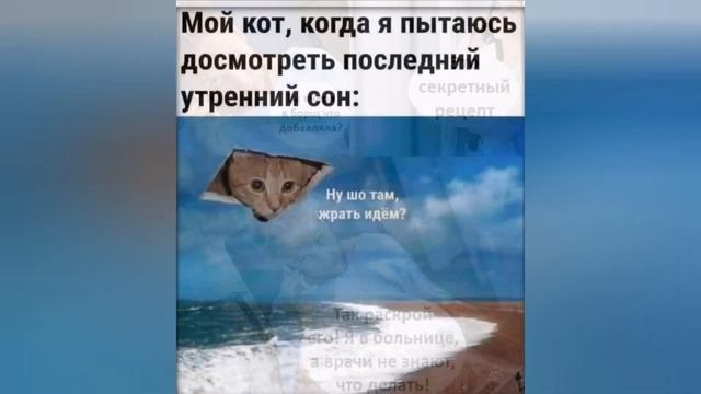 Весёлая коллекция номер 29 #приколы смотреть онлайн