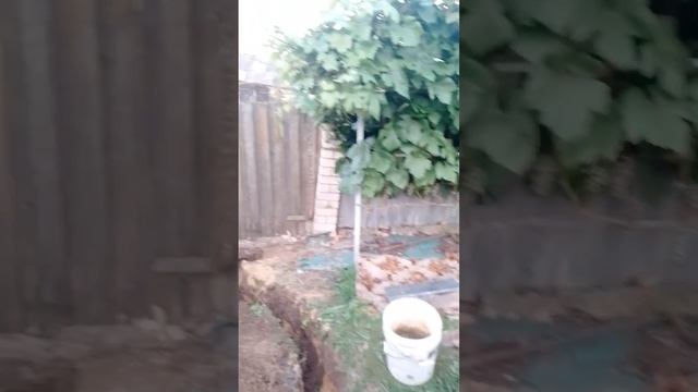 Прокладка кабеля АВБбШв на баню (лето 2024). Отключение о смотреть онлайн